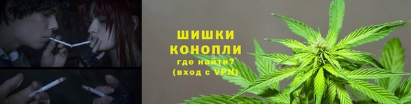 сатива Алексеевка