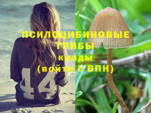 ALPHA-PVP Алзамай