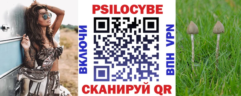 omg зеркало  Любим  Галлюциногенные грибы Magic Shrooms 